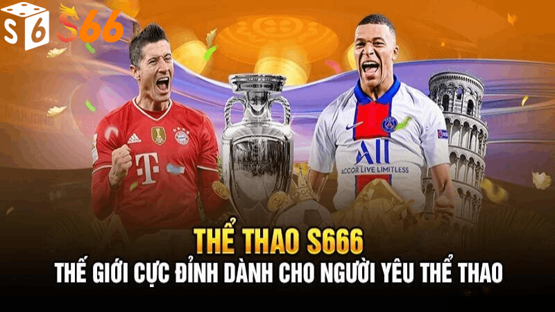 Tổng hợp một số bộ môn thể thao đình đám tại S66