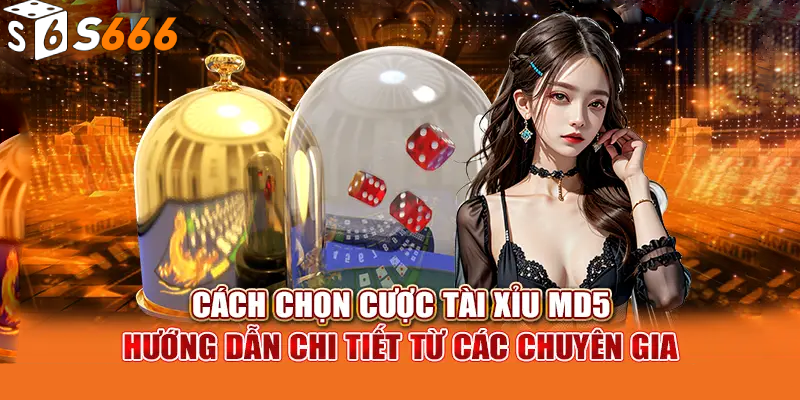 Cách chơi Tài xỉu MD5